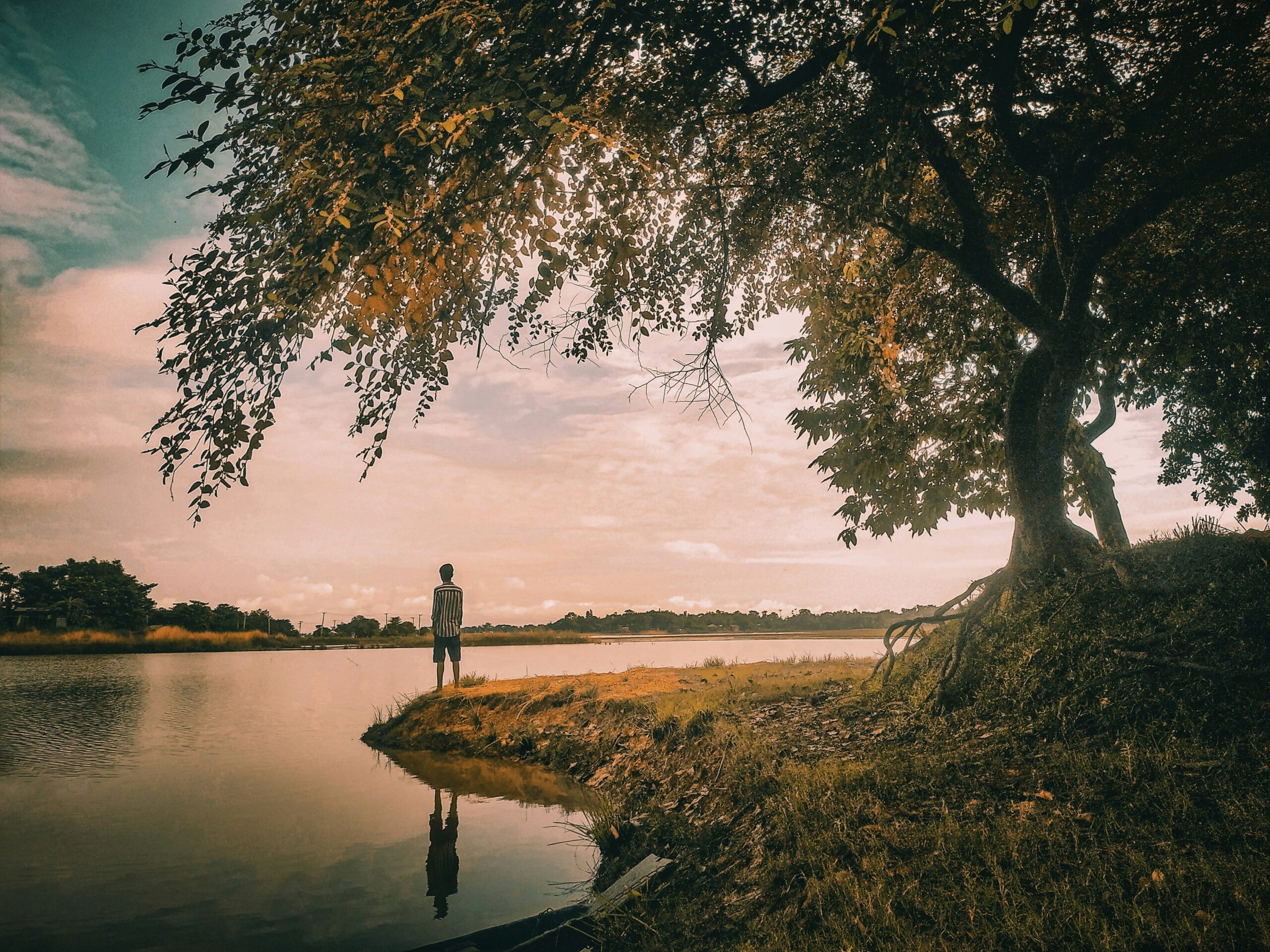person by lake